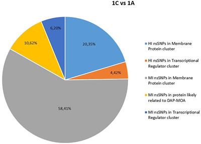 Genomic and Long-Term Transcriptomic Imprints Related to the Daptomycin Mechanism of Action Occurring in Daptomycin- and Methicillin-Resistant Staphylococcus aureus Under Daptomycin Exposure